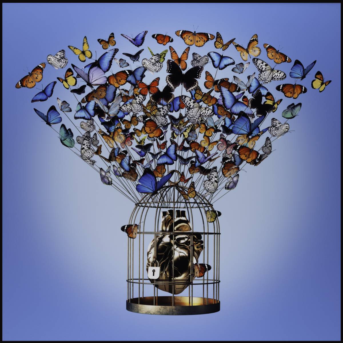 5-butterflies-uitgeknipt 5-butterflies-uitgeknipt