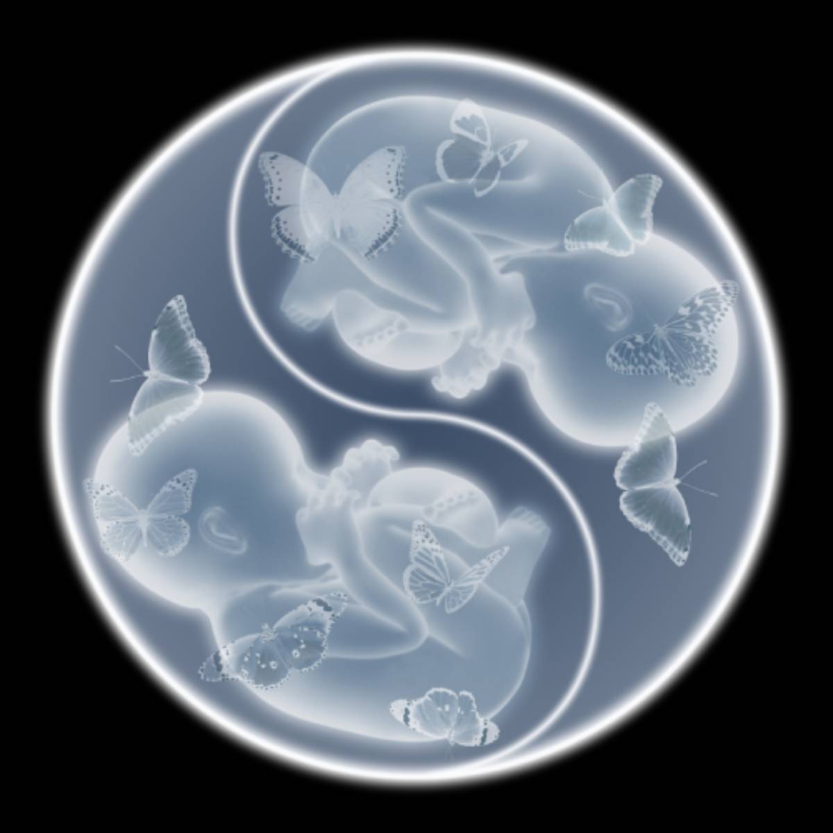 yingyang balance (1)